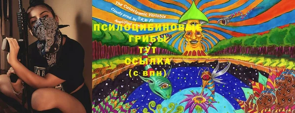 кокс Всеволожск
