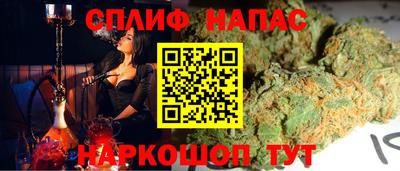 крисы Гай