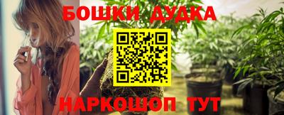 крисы Гай
