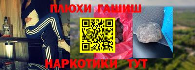 крисы Гай